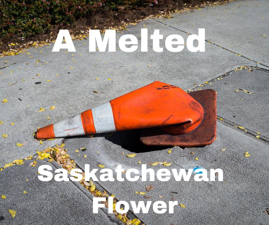 so_saskatchewan's tweet photo. #So_Saskatchewan #Saskatchewan #southey #carrotriver #Regina #Saskatoon #Yorkton #weyburn #MooseJaw #Estevan #sk #NorthBattleford #Carnduff #Dundurn #Esterhazy #MapleCreek #Tisdale #Shaunavon #Rocanville #SwiftCurrent https://t.co/4nl8L6rUS6