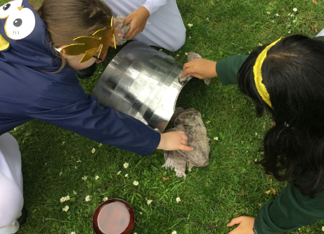 Bentley West Primary School tweet media