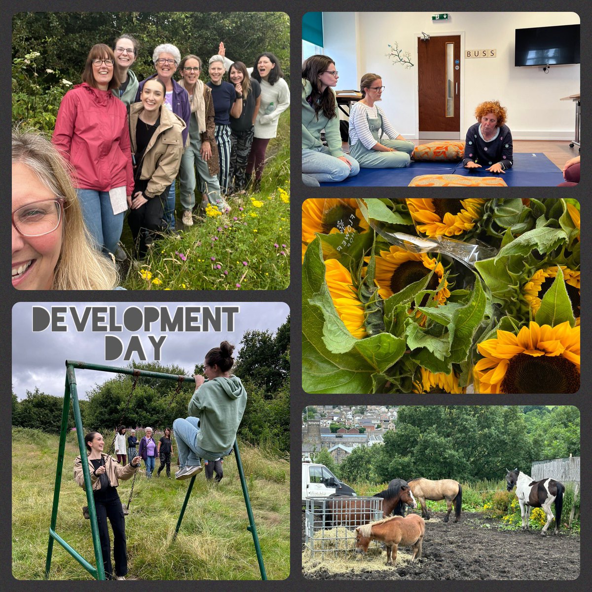 Development day! Asst of shoulder girdle strength; how we continue to build a community of #bussmodel practitioners; &amp;  most importantly how we capture the child’s experience of working with us. Celebratory flowers &amp; a walk to find the horses we watch from our office window. 🙌🙌