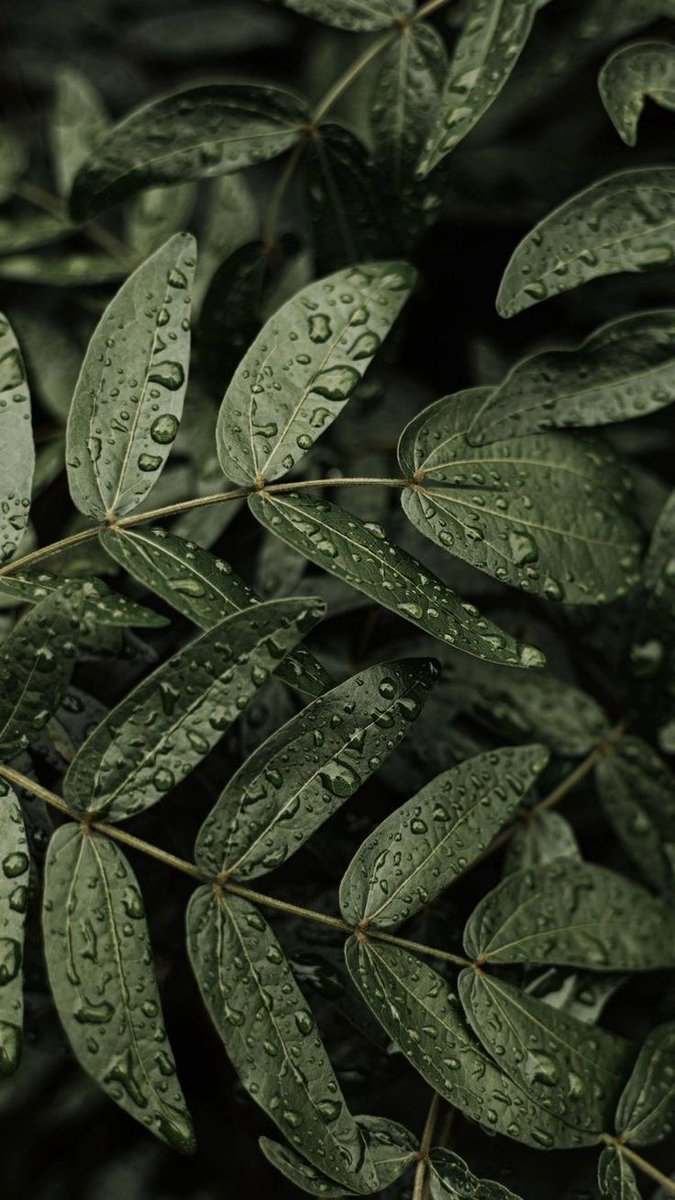 elemmiressoul's tweet image. green love.