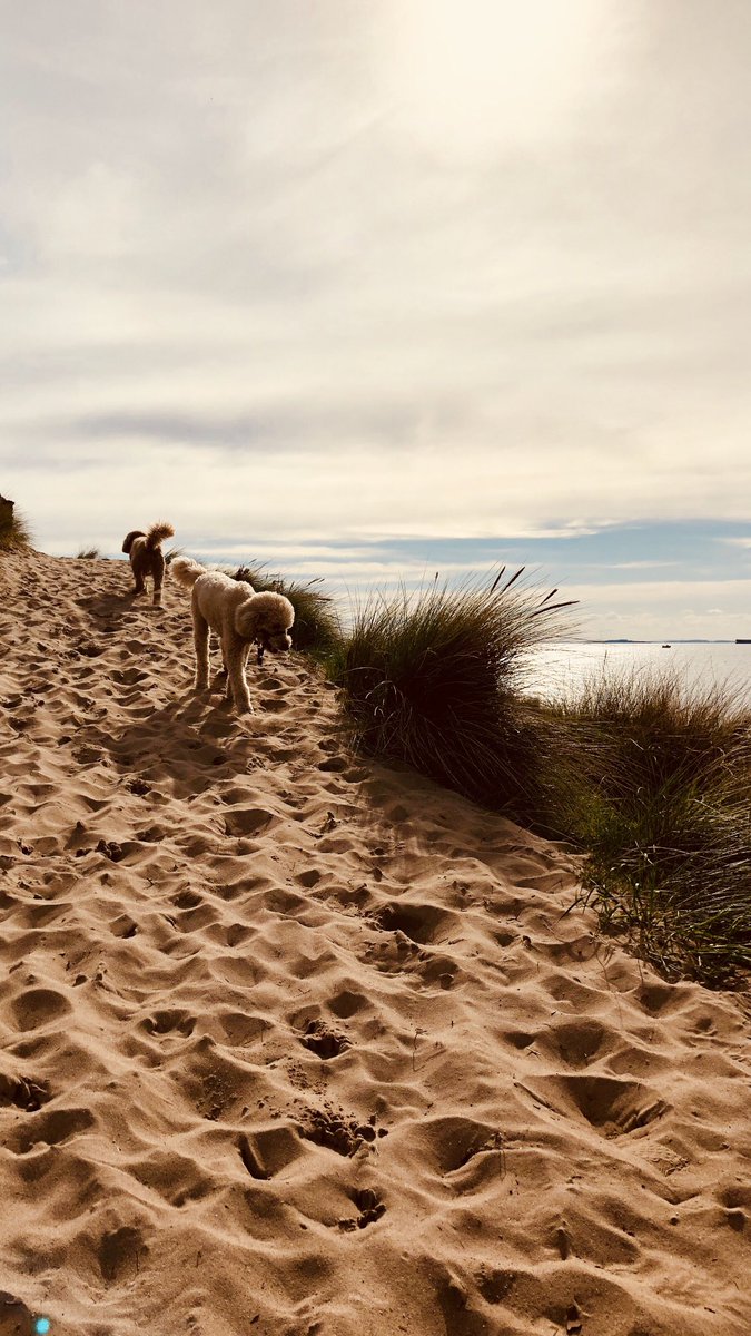 v4vlahos's tweet photo. Balance, what is perfect, balance. ⁦@WAVstory⁩ ⁦@StageMeetsWorld⁩ ⁦@poetswritersinc⁩ ⁦#wellbeing https://t.co/VzFPXrILGE