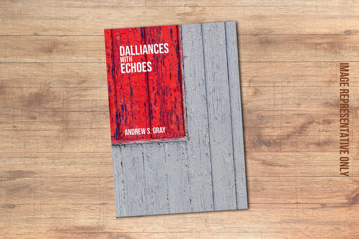 From a short break from ICM photography, I'm excited to finally announce "Dalliances with Echoes", my first zine release! 
Preorders open on Saturday. Limited to 100 copies.