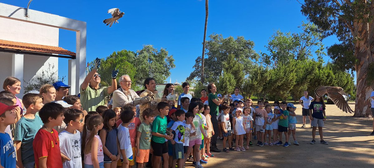 Atlantic_Copper's tweet photo. 🎒Participantes de ‘Escuela de Exploradores’, de la Fundación #AtlanticCopper, liberan junto a la Dirección del Paraje Natural Marismas del Odiel y la Delegación Territorial de Sostenibilidad, Medio Ambiente y Economía Azul de la @AndaluciaJunta, a 4 cernícalos rehabilitados. https://t.co/PNHeojOr0h