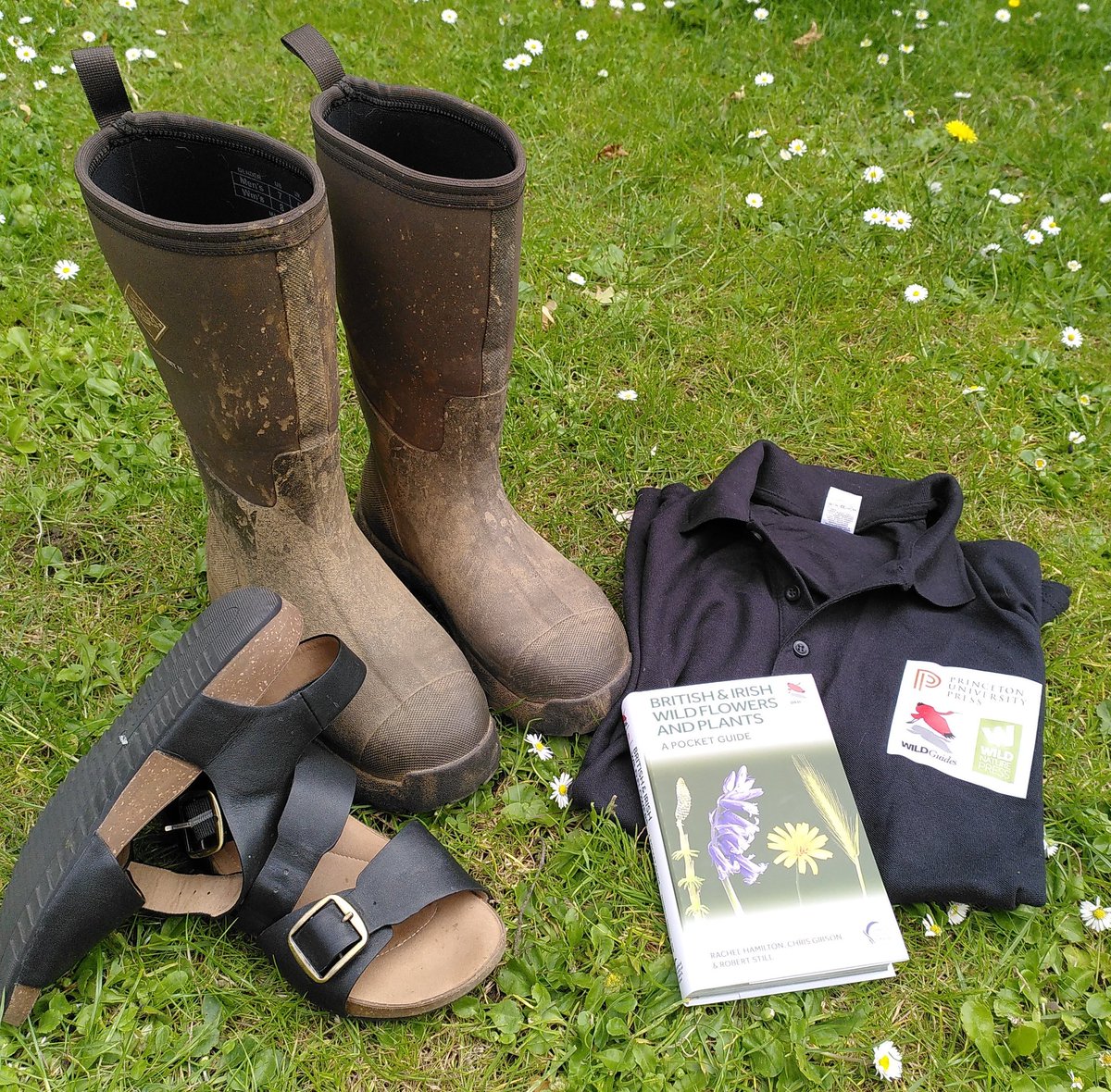 JuliaDingleHall tweet media