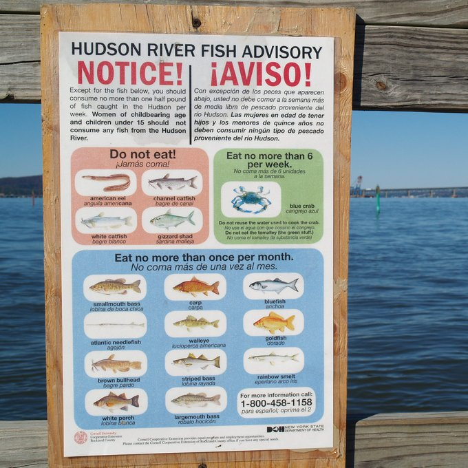 🚨 The Friends of a Clean Hudson coalition rejects EPA’s draft third five-year report on Hudson River PCBs cleanup. EPA’s findings fail to protect public health &amp; environment. We urge the public &amp; officials to voice concerns by Oct 8!

Read more here 👉ow.ly/o92S50Szebo