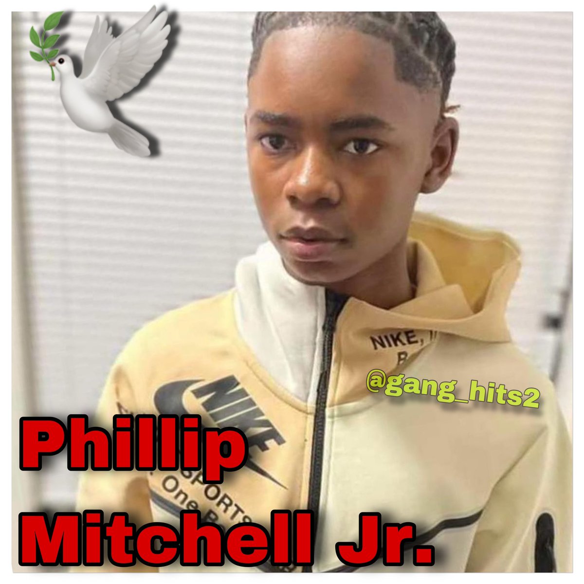 Gang Hits tweet media
