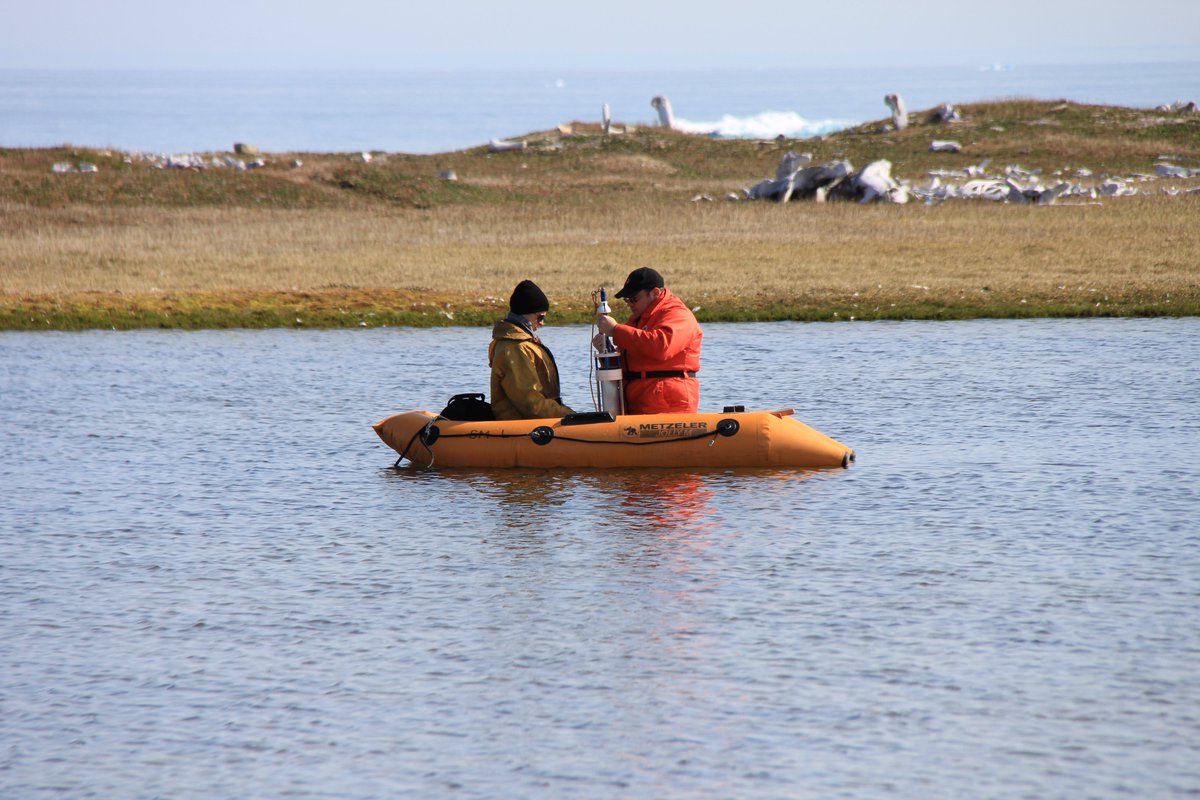 uOttawa Salle de presse l Newsroom (@uottawamedia) on Twitter photo New evidence shows earlier Thule-Inuit settlements in Nunavut than previously thought. Prof. <a href="/JulesBlais/">Jules Blais</a> and team uncovered ancient cultures on Somerset Island by analyzing sediment samples.
<a href="/uOttawaScience/">uOttawa Science</a>
πbit.ly/4cB0Nk8 New evidence shows earlier Thule-Inuit settlements in Nunavut than previously thought. Prof. <a href="/JulesBlais/">Jules Blais</a> and team uncovered ancient cultures on Somerset Island by analyzing sediment samples.
<a href="/uOttawaScience/">uOttawa Science</a>
πbit.ly/4cB0Nk8