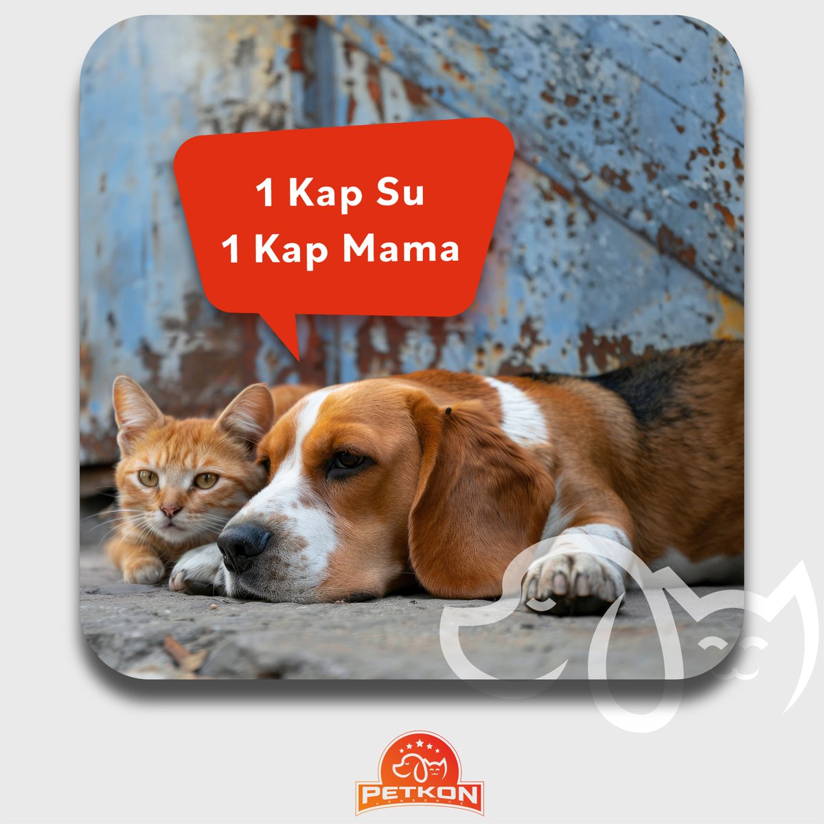 🌞Sıcak yaz günlerinde bizler kadar sokaktaki dostlarımız da serinlemeye ve beslenmeye ihtiyaç duyuyor.
🐾Onların hayatını biraz olsun kolaylaştırmak için
yapabileceğimiz çok basit bir şey var: Bir kap mama ve
su bırakmak.

#petkonkonserve #sokakhayvanları #1kapsu1kapmama