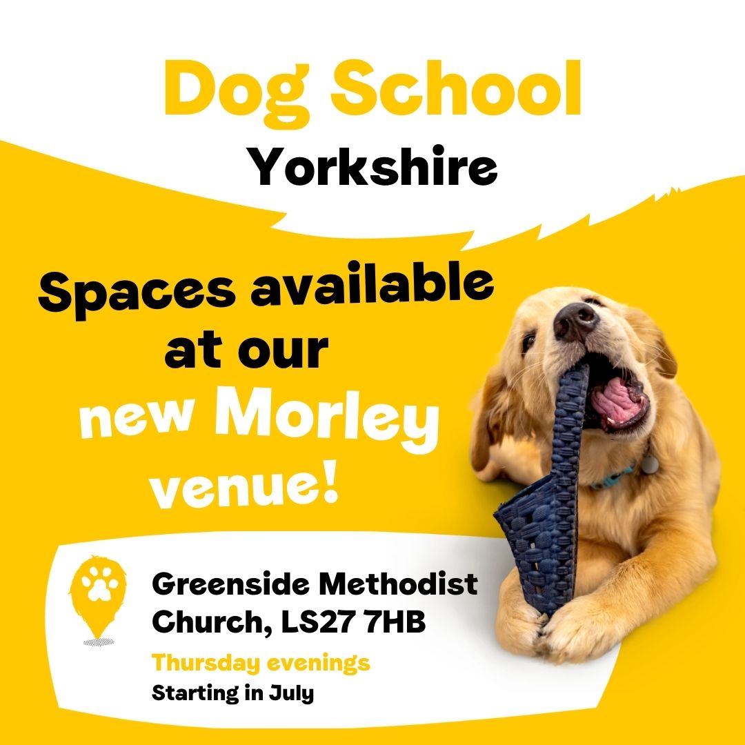 DT_Leeds's tweet image. 📣 NEW TRAINING VENUE ALERT! 

If you'd like to find out more about the amazing #DogTraining skills you could pick up from them go here👉 bit.ly/429QxJC

#DogSchool #PositiveReinforcement #Leeds #Morley #Community #LeedsDogTraining #YorkshireDogTraining @DogsTrust