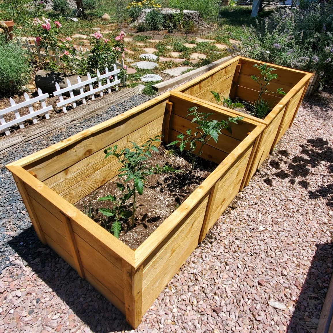 ironprooftimber's tweet photo. Customer submitted pictures of recent planter box builds 😍

#ironprooftimberworks #customerpics #cedarplanters #planterboxes #woodworking #veggies https://t.co/ctIDRnY8XM