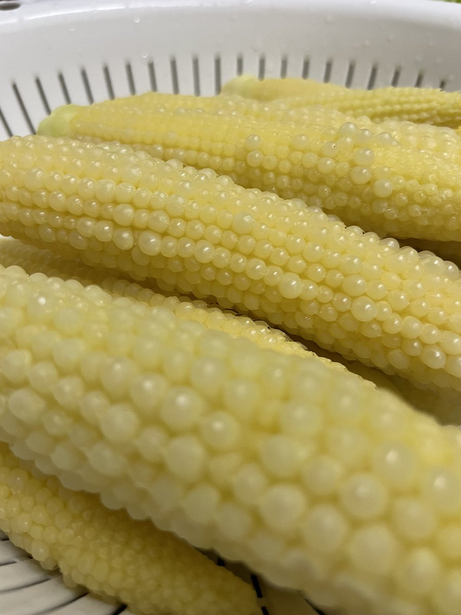 魚卵のようにつぶつぶキラキラしているヤングコーン🌽
下茹でして半分は冷凍します