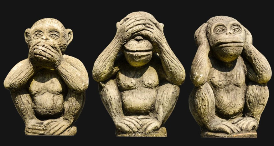 "On ‘goyish fragility’. Jewish response to an offended left"
Will France's Left be able to face up to eradicating its antisemitism outside of an electoral emergency?<a href="/ElishevaGot/">Elishéva Gottfarstein</a>’s text is a step-by-step response to their diabolically specious arguments.
k-larevue.com/en/goyish-frag…