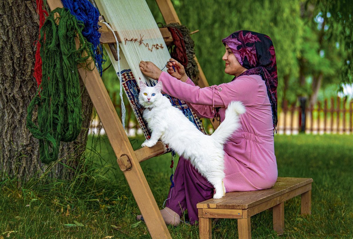 Üniversitemiz Kurumsal İletişim Koordinatörlüğü’nde görev yapmakta olan fotoğraf sanatçımız Murat Cacim, Türkiye Kültür Yolu Festivali kapsamında düzenlenen 2024 Van Fotoğrafçılar Maratonu'nda; Van’ın Tarihi Dokusu ve Doğal Güzellikleri, Van’ın Lezzetleri(Sayısal Renkli) Alanında