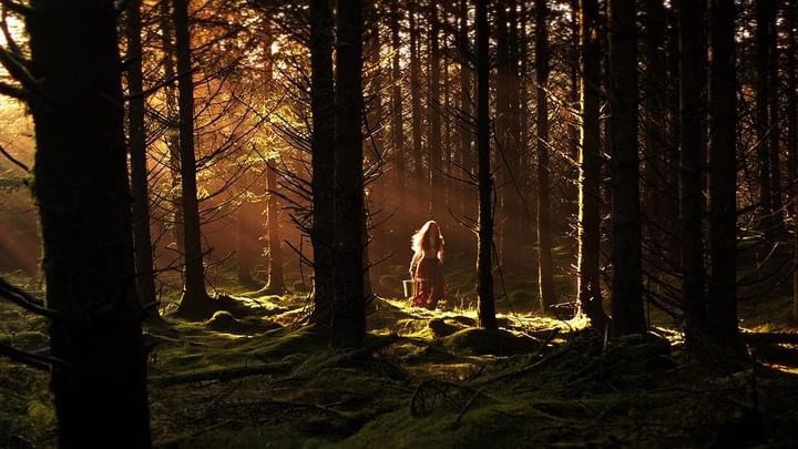 freshfilmie's tweet photo. 📽️ Past #IrelandsYoungFilmmakeroftheYear winner @johnfarrelly_ film ‘An Taibhse’ premieres tonight @GalwayFilm
🎬 In 2018 John won #IYFTY with ‘Choice’ 🎬
✨ We are so proud of the part we have played in John’s journey and can’t wait to see the film later ✨
#FreshFilm
#FIFF https://t.co/ygHmybIfJU