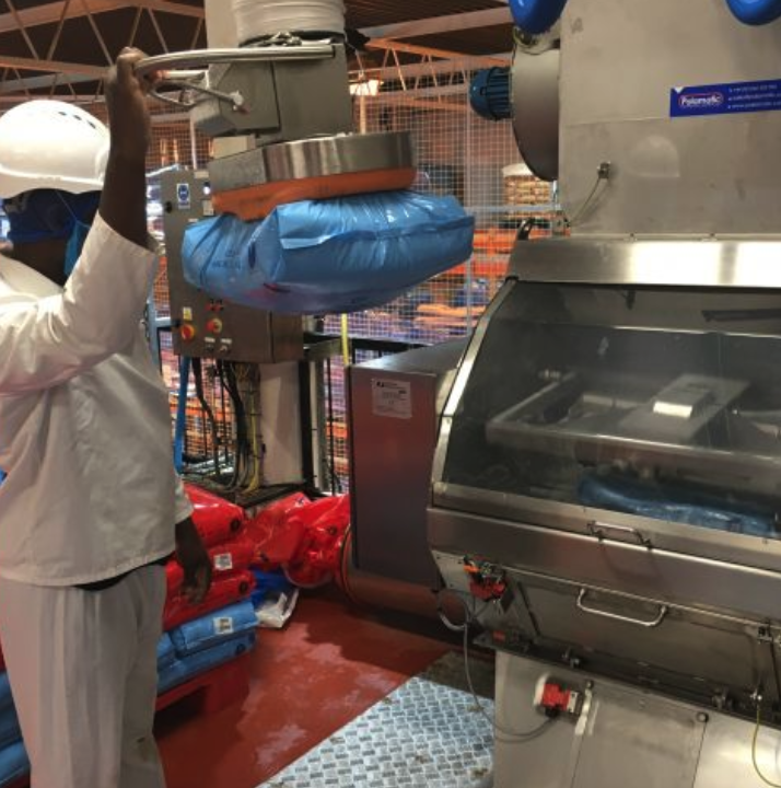 Palamatic tweet media