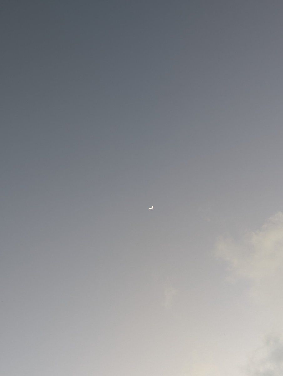nipuna__d's tweet photo. Thursday 11/07/2024
06.30 pm 🌔🖤
#MoonMine #moon #JustSandysThings https://t.co/V6Z2MIz7CO