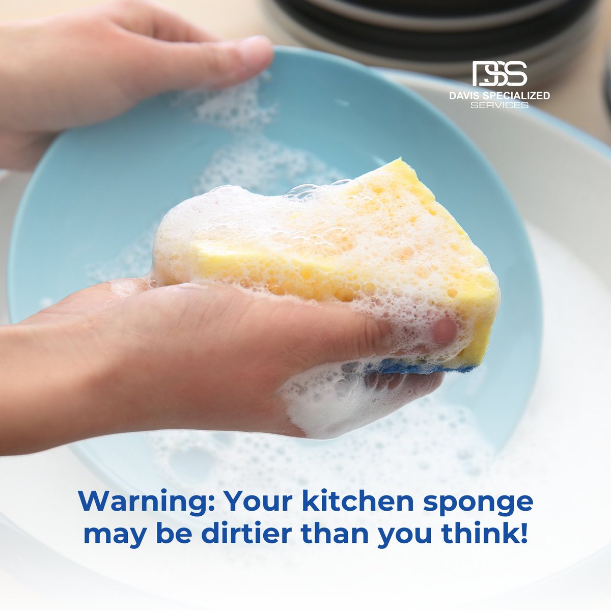 davisservices_'s tweet photo. Did you know it can harbor more bacteria than a toilet seat? 😱 Keep it clean by regularly sanitizing it in the microwave or dishwasher. Your kitchen (and health) will thank you! https://t.co/LwVvE3hUaw