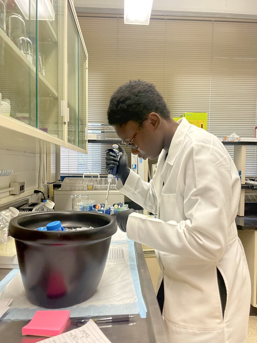 Jackie Agyemang tweet media