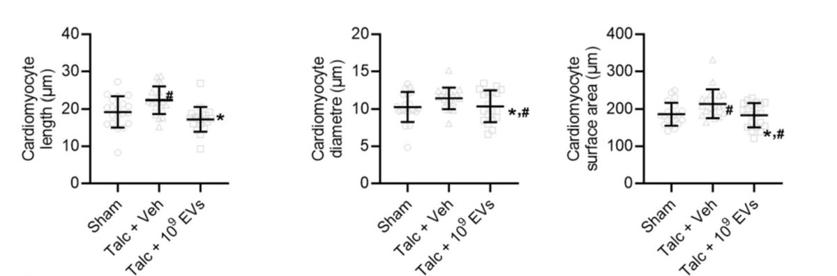 davis_ctrl's tweet image. Human extracellular vesicles (EVs) reduce the size of atrial myocytes compared treatment with placebo (veh). Dive in: 🔗 doi.org/10.7150/thno.8…. #AtrialFibrillation