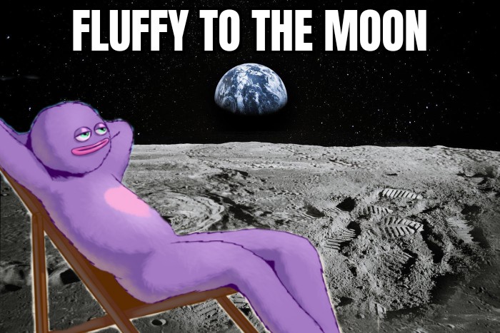 Jorgenanalyst's tweet photo. @FLUFFY_Sol $Fluffy to the moon https://t.co/exJextXE2N