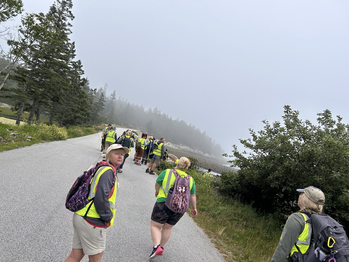 Rodney Crouse 🏳️‍🌈 tweet media