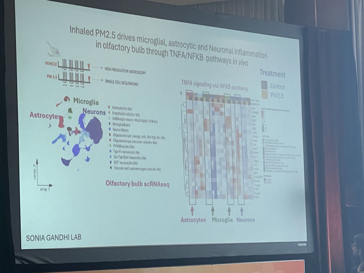 DrRanaMcKay's tweet photo. Amazing talk by ⁦@CharlesSwanton⁩ at #KCRS. We consume 5 grams of plastic per day (1 credit card) that is taken up by macrophages driving inflammation causing disease including cancer! https://t.co/JOc1EQ2CjK