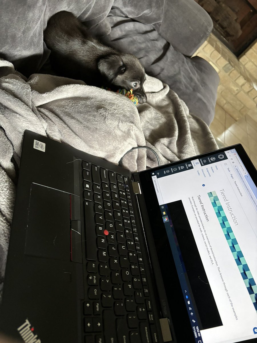 Krystal Moore, M.Ed. tweet media