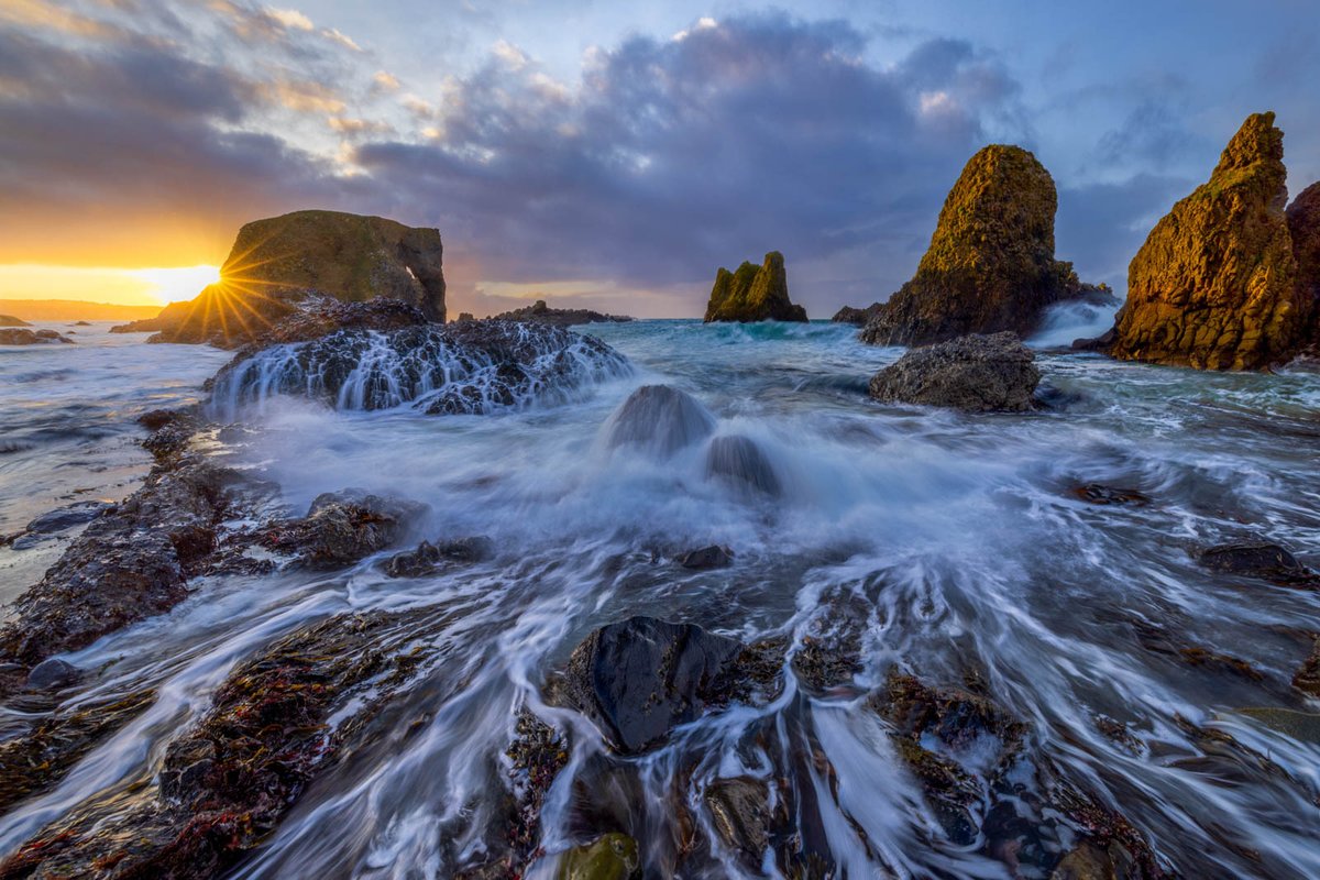 Nature TTL tweet media