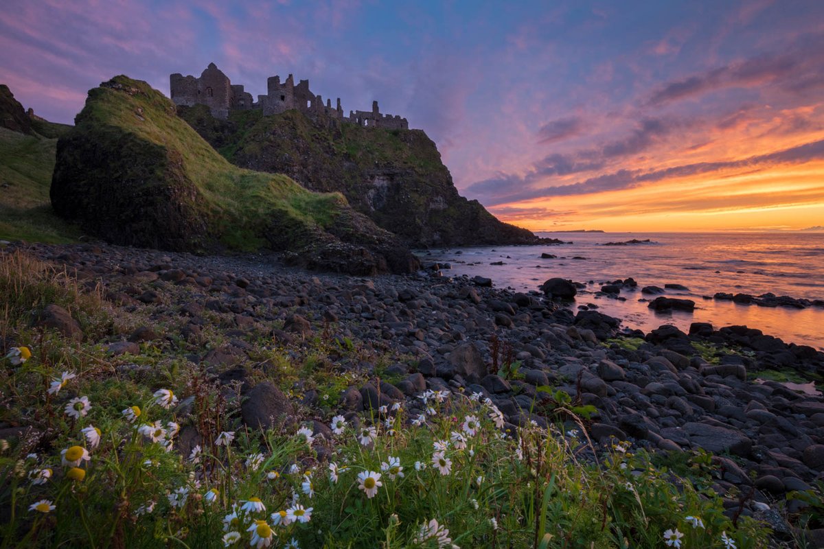 Nature TTL tweet media