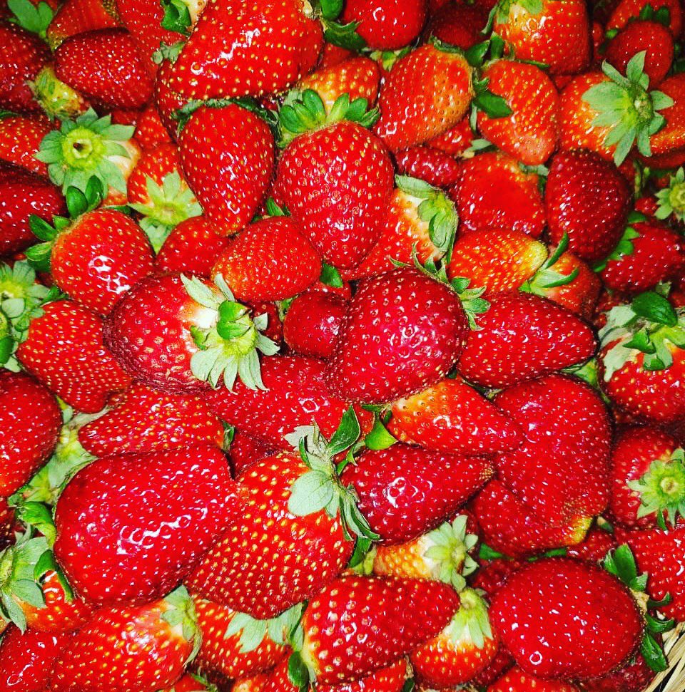 Vendo FRUTILLAS.. 45.000Gs el kilo
0981-801333 te acercamos a tu casa😜