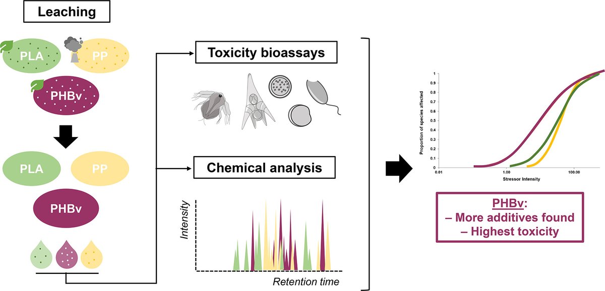 RESPONSE (@response_jpio) on Twitter photo 🥳🥳We are delighted to announce the availability of our newest <a href="/jpioceans/">JPI Oceans</a> RESPONSE publication 'Comparative assessment of the acute toxicity of commercial bio-based polymer leachates on marine plankton'! 🥳🥳
Click on the link below to learn more!
🔗sciencedirect.com/science/articl… 🥳🥳We are delighted to announce the availability of our newest <a href="/jpioceans/">JPI Oceans</a> RESPONSE publication 'Comparative assessment of the acute toxicity of commercial bio-based polymer leachates on marine plankton'! 🥳🥳
Click on the link below to learn more!
🔗sciencedirect.com/science/articl…