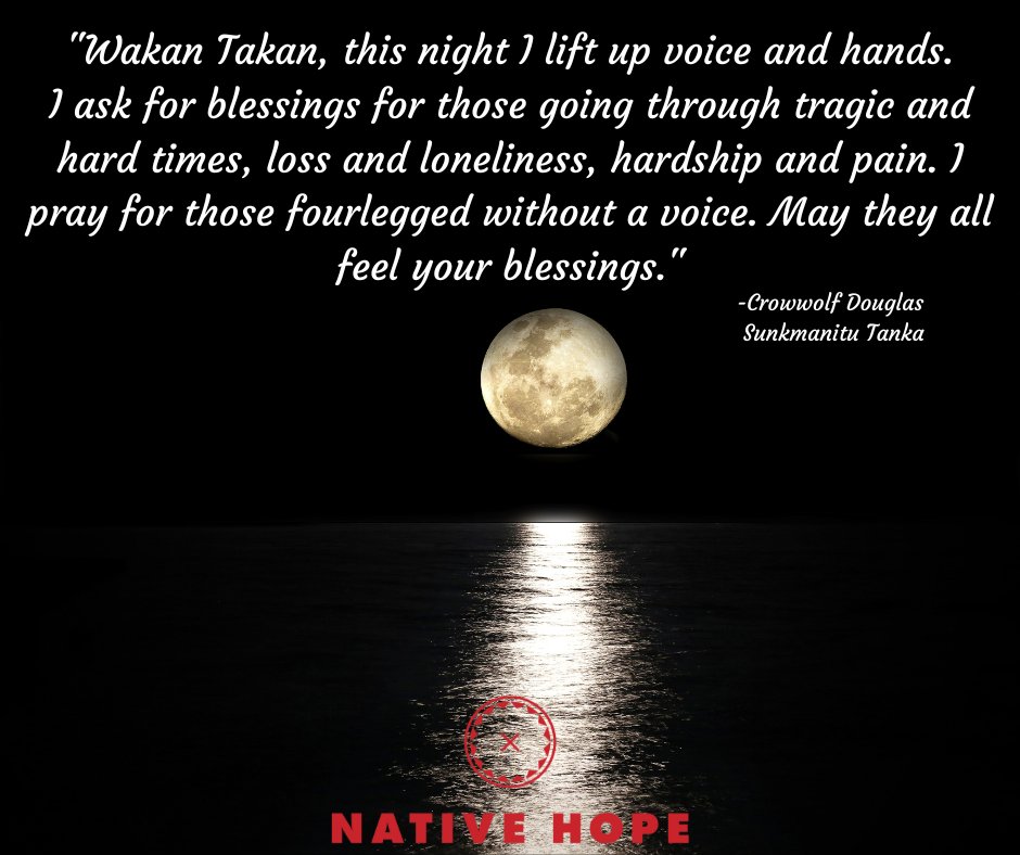 ProjNativeHope's tweet photo. #ThursdayThoughts #ThoughtfulThursday #Thursday #NativeThoughts #NativeHope #NativeAmerican #Native #NativePride #Blessings https://t.co/jW76YFAqDO