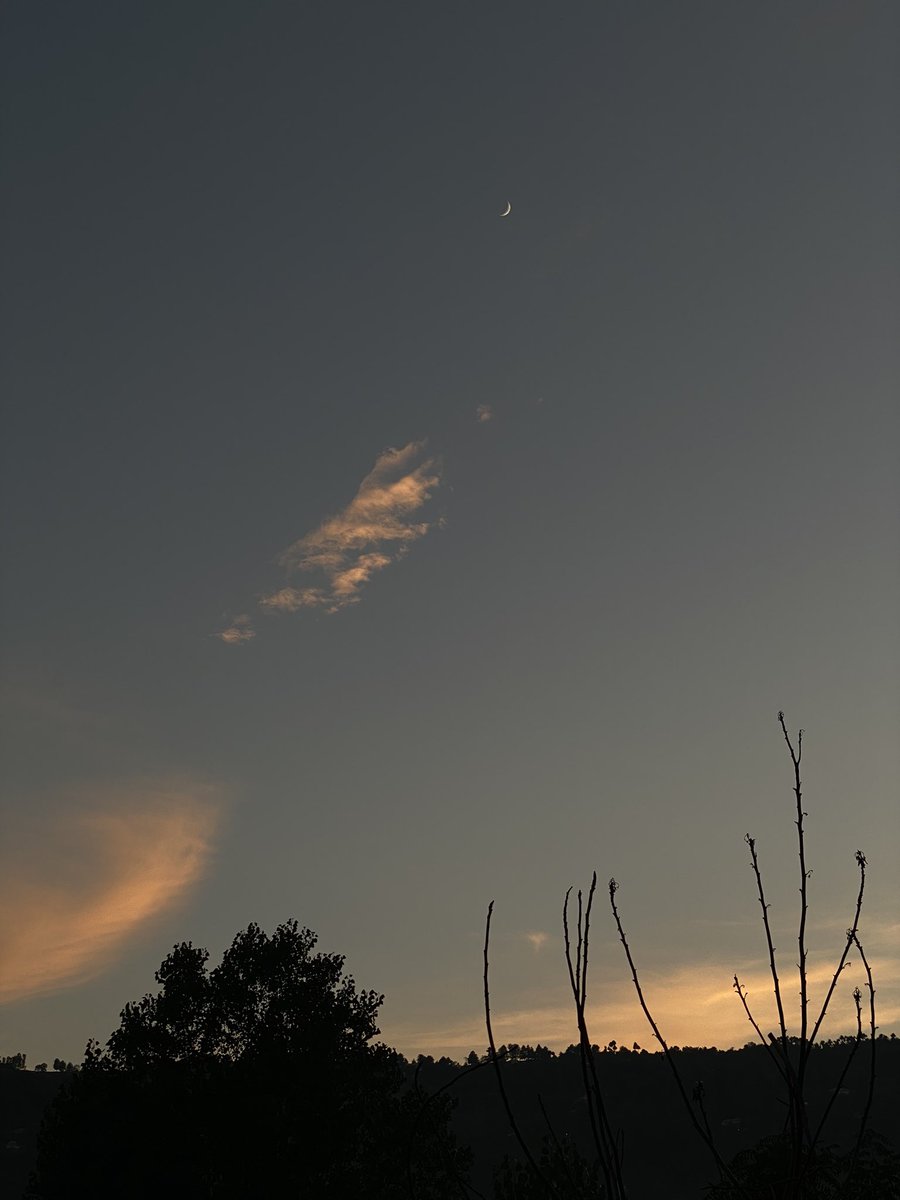 Binte_iilyas's tweet image. moon with sunsets is my favourite time of the day 🤍
