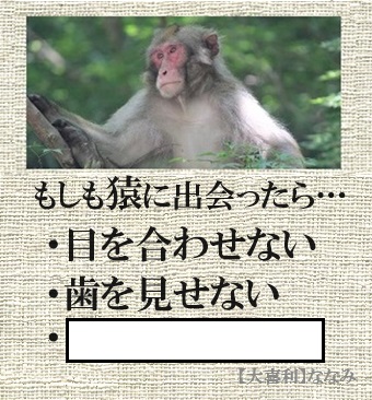 みなさまこんばんは🌠☺️ 今日もお疲れ様です🥂 ＃大喜利 ＃猿 7643958