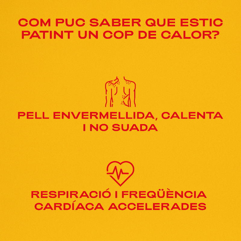 salutcat's tweet photo. ⚠ Si pateixes un cop de calor:

📱 Truca al 061/Salut respon immediatament.

💨 Trasllada't a una zona amb ombra, obre finestres i encén el ventilador.

💦 Mulla't, però NO beguis líquid.

Com reconèixer un cop de calor? 👇