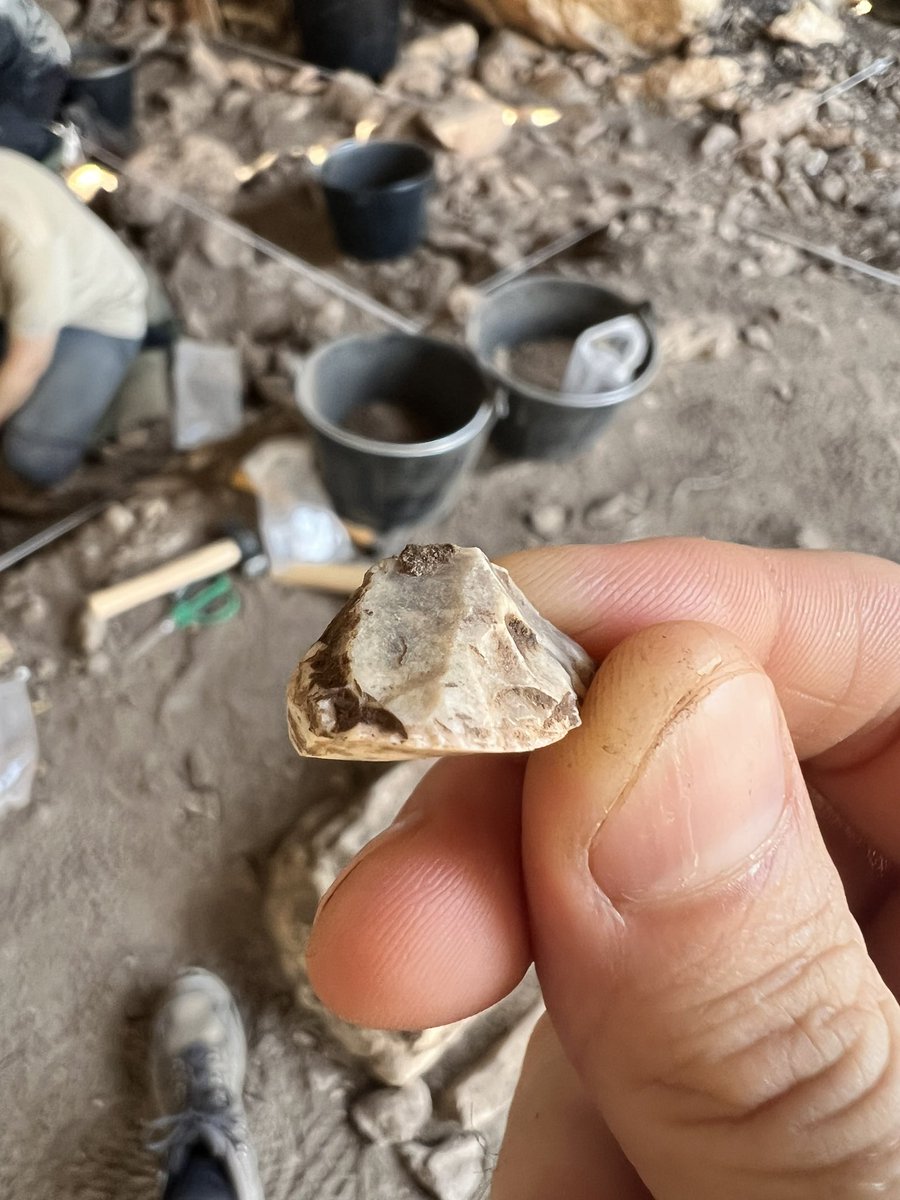 Aleix Eixea tweet media