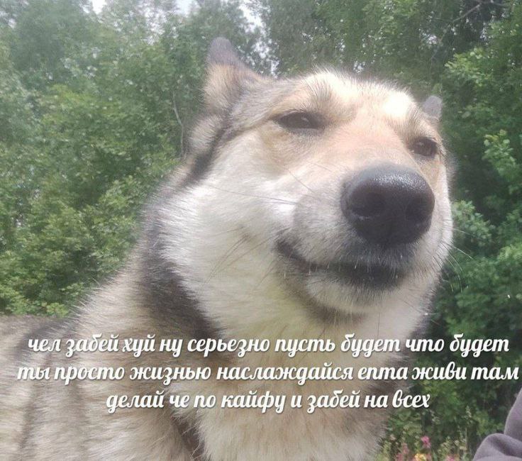 пока что это мое самое всратое лето