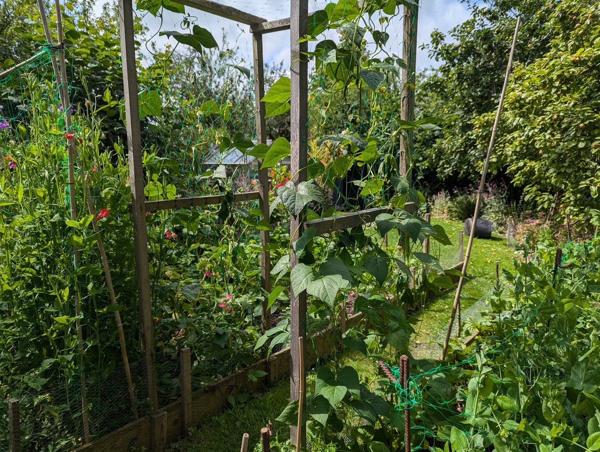 Ex Polytunnelhermit 🌿 tweet media