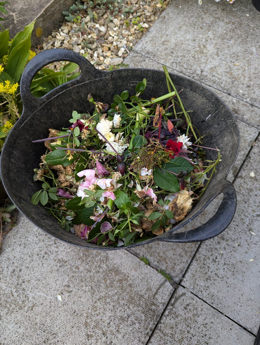 Ex Polytunnelhermit 🌿 tweet media