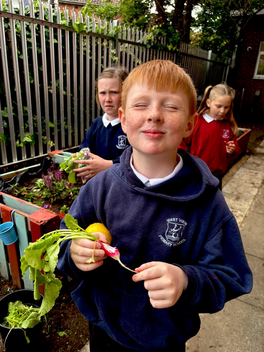 Thrive Teesside (@thriveteesside) on Twitter photo Our fantastic Eco Club kids had another productive day today rock painting, weeding and even trying some home grown radishes <a href="/WestViewPrimary/">West View Primary School</a> 🪴🧑🏼🌾🌸🌿
thrive-teesside.org.uk/the-voices-of-… Our fantastic Eco Club kids had another productive day today rock painting, weeding and even trying some home grown radishes <a href="/WestViewPrimary/">West View Primary School</a> 🪴🧑🏼🌾🌸🌿
thrive-teesside.org.uk/the-voices-of-…