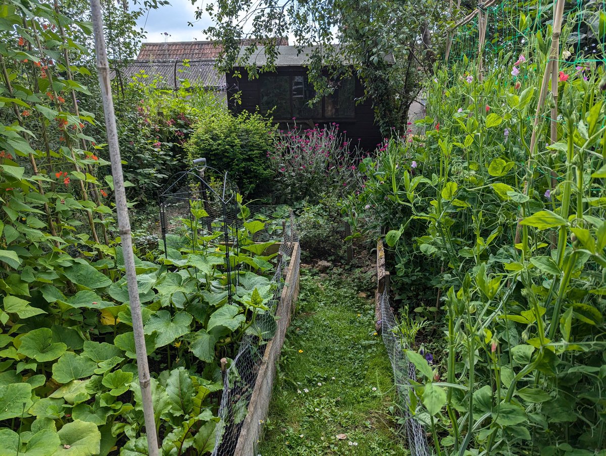 Ex Polytunnelhermit 🌿 tweet media