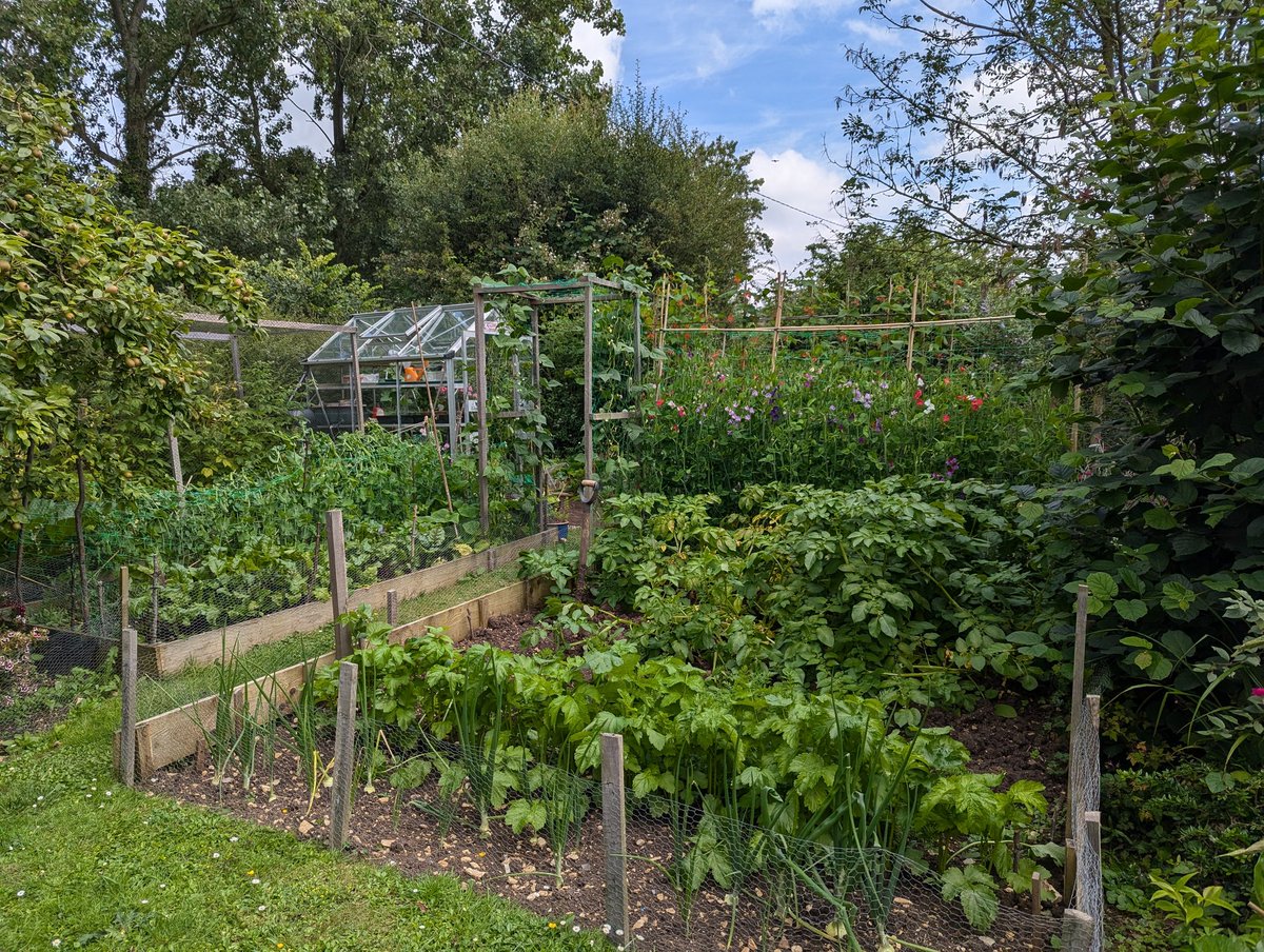 Ex Polytunnelhermit 🌿 tweet media