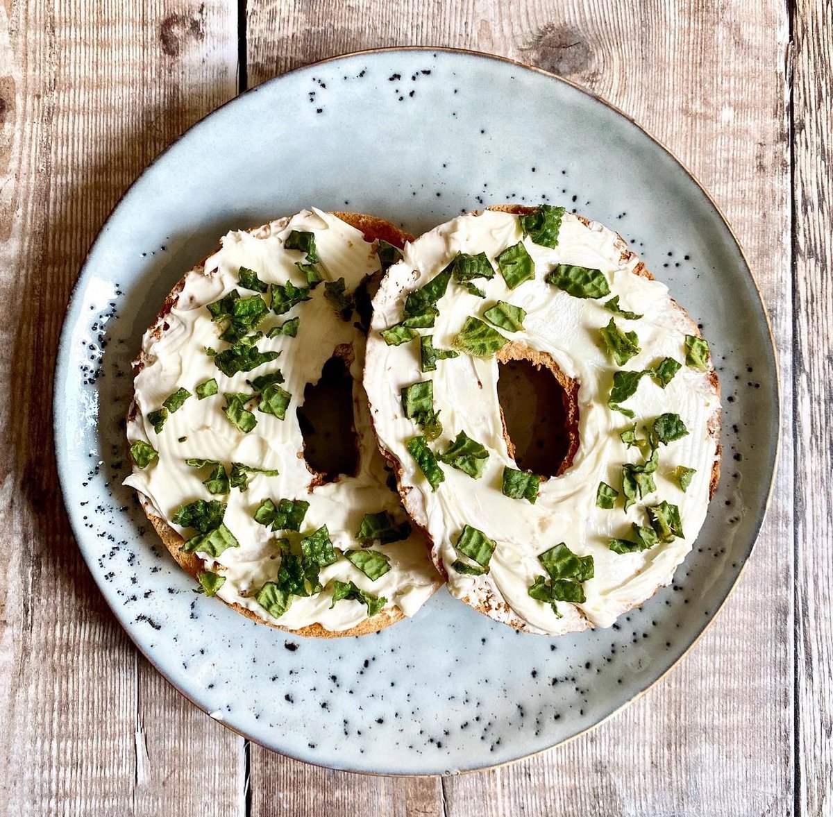 culinaryherbco's tweet photo. Thinking back to this delicious lunch by @potandlane 🥯Toasted bagel with cream cheese topped with fresh young borage leaves from our herb garden! Who’s hungry? https://t.co/Kx3k9Upsrz