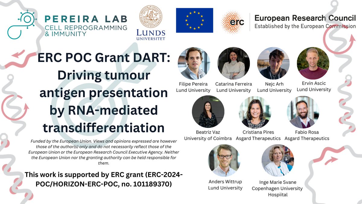We are excited to announce we were awarded our third ERC grant! The ERC Proof of Concept grant #DART stands for “Driving Tumor Antigen Presentation by RNA-mediated Transdifferentiation.” #ERCPoC