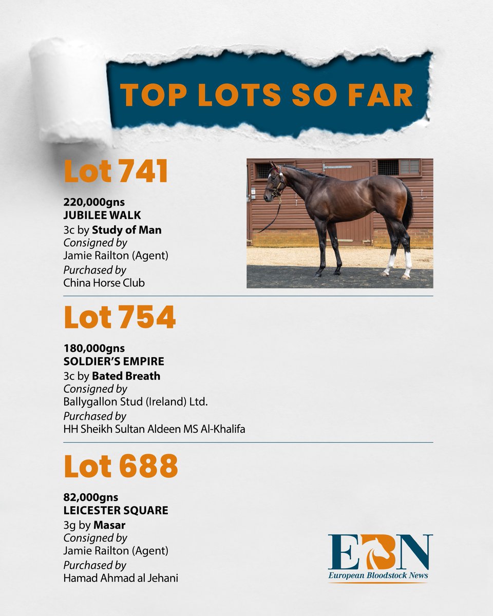 bloodstocknews's tweet photo. 🔶 It's the final day of the @Tattersalls1766 July Sale and the Top Lots so far are 👇

✨ Lot 741 JUBILEE WALK - 3YO colt by @Lanwades' STUDY OF MAN, was consigned by @jamierailton &amp; sold to @Chinahorseclub for 220,000gns.

📰 Full sales report in tomorrow's EBN

#ReadAllAboutIt https://t.co/FkYzfhzwRo