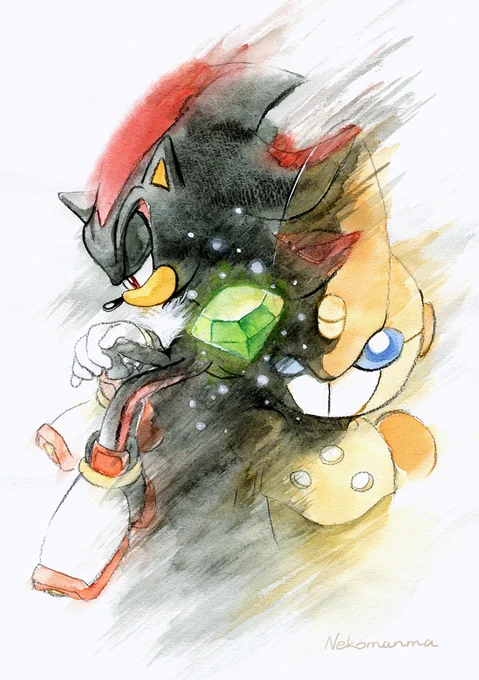 Shadow and EmerlThe Sonic Battle scenario is the best.#ShadowTheHedgehog 