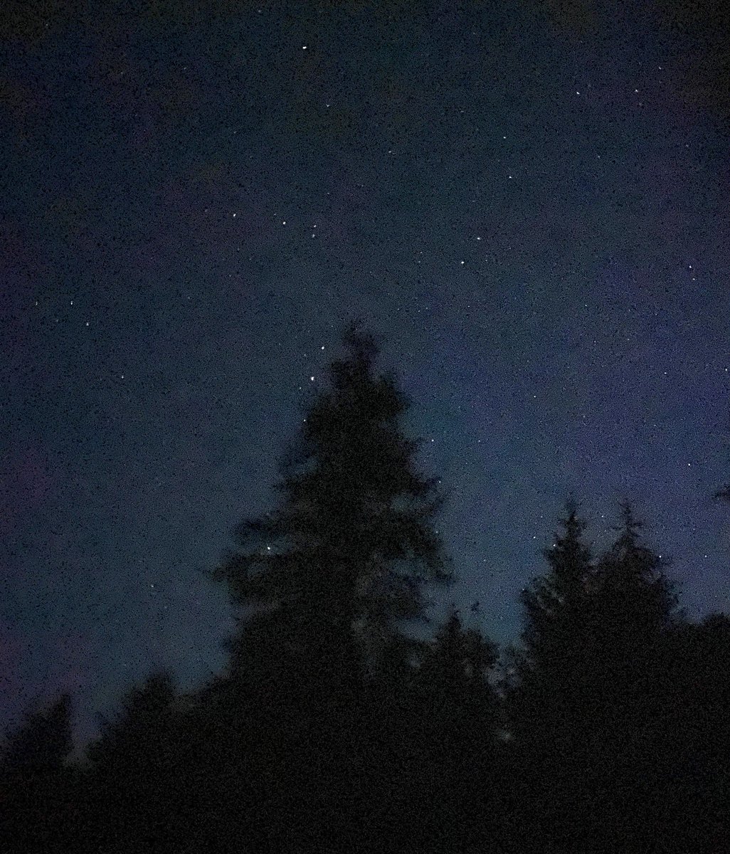 quantockhills's tweet photo. This week marked the start of the Quantock Hills Bat Monitoring season. The weather has not been great, but we still recorded a decent number of a variety of species 👍🦇
Many thanks to all the volunteers who are getting involved with this 🤩
#batmonitoring
#quantockhillsnl https://t.co/p6DOSE0oib