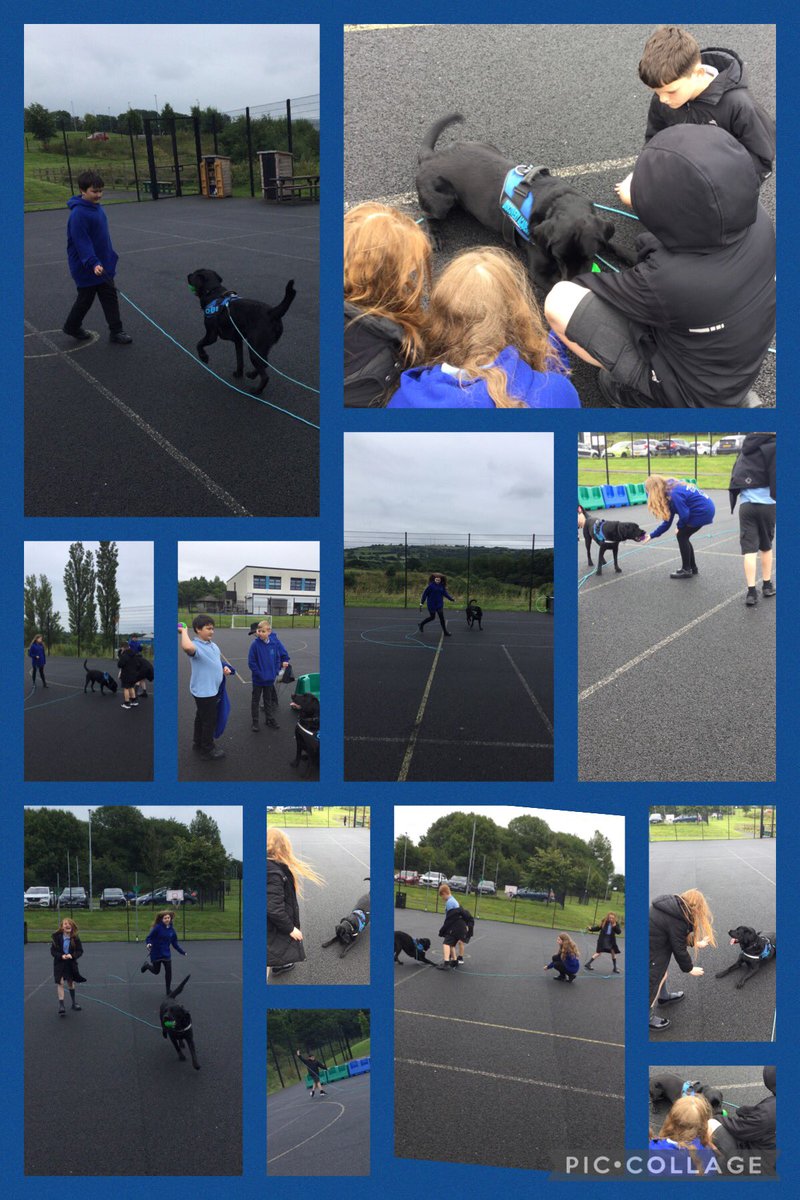 Obi Wong & Mrs Wong tweet media