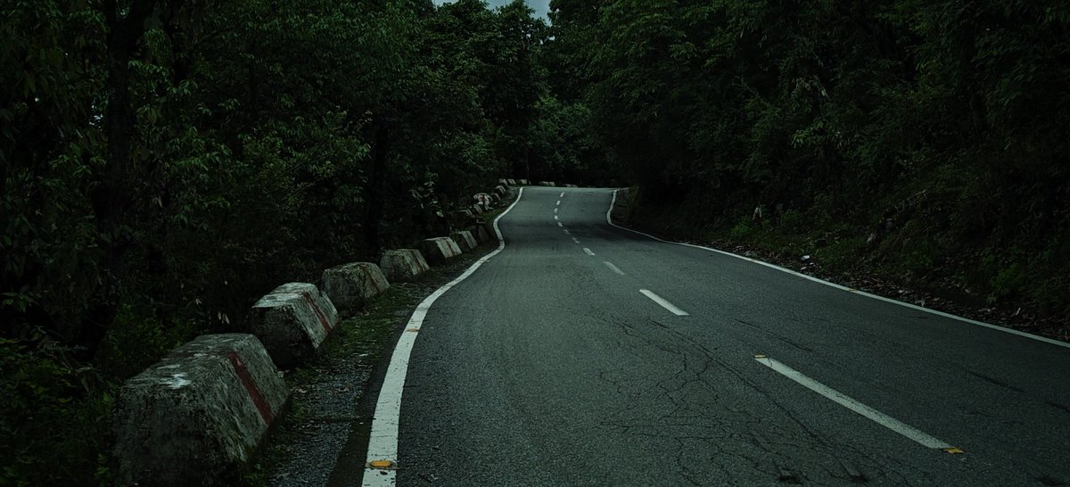 SpecuJesse's tweet photo. Roads like these💚 https://t.co/hfpajkAn91