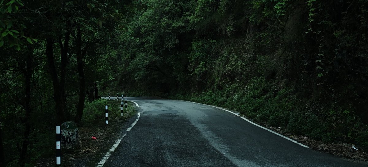 SpecuJesse's tweet photo. Roads like these💚 https://t.co/hfpajkAn91